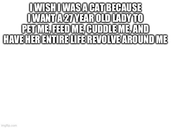 I WISH I WAS A CAT BECAUSE I WANT A 27 YEAR OLD LADY TO PET ME, FEED ME, CUDDLE ME, AND HAVE HER ENTIRE LIFE REVOLVE AROUND ME | made w/ Imgflip meme maker