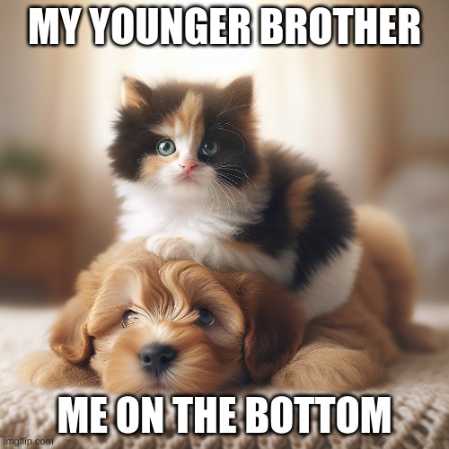 Siblings | MY YOUNGER BROTHER; ME ON THE BOTTOM | image tagged in memes,funny | made w/ Imgflip meme maker