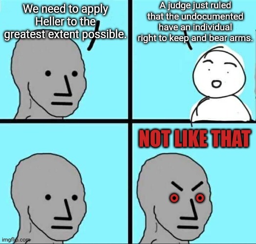 And just like that, the cons were anti 2A | A judge just ruled that the undocumented have an individual right to keep and bear arms. We need to apply Heller to the greatest extent possible. | image tagged in npc not like that | made w/ Imgflip meme maker