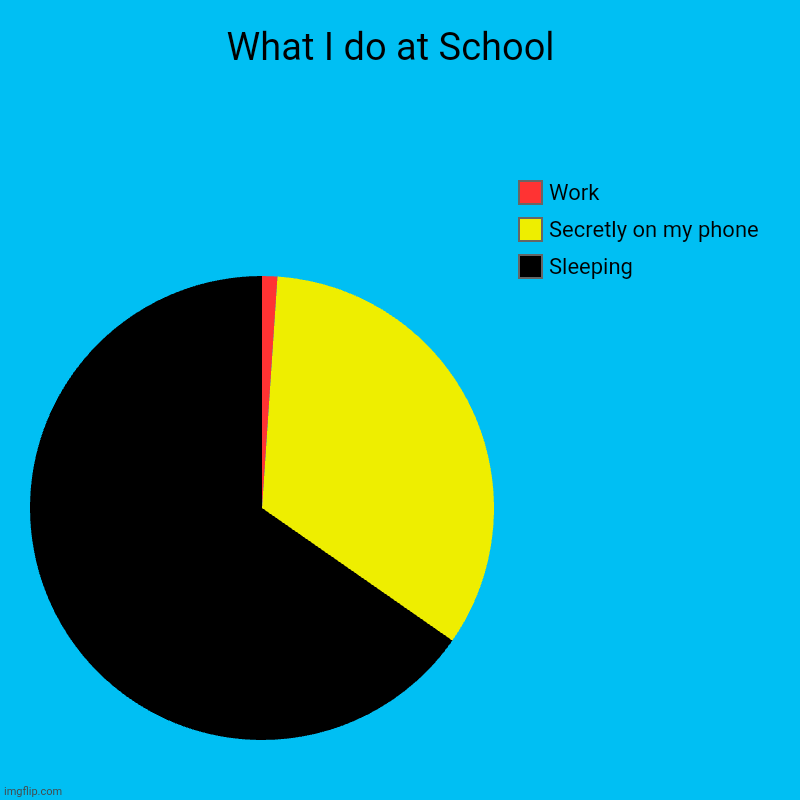 What I do at School  | Sleeping , Secretly on my phone , Work | image tagged in charts,pie charts | made w/ Imgflip chart maker
