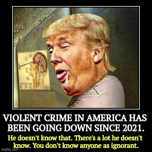 The fact remains, violent crime is going down. Not up. Scr*w Trump. | VIOLENT CRIME IN AMERICA HAS 
BEEN GOING DOWN SINCE 2021. | He doesn't know that. There's a lot he doesn't 
know. You don't know anyone as i | image tagged in funny,demotivationals,violent,crime,down,trump | made w/ Imgflip demotivational maker