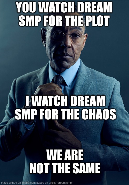 We are not the same | YOU WATCH DREAM SMP FOR THE PLOT; I WATCH DREAM SMP FOR THE CHAOS; WE ARE NOT THE SAME | image tagged in gus fring we are not the same | made w/ Imgflip meme maker