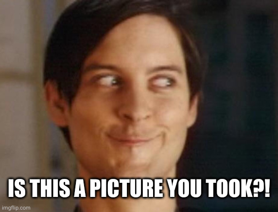 Spiderman Peter Parker Meme | IS THIS A PICTURE YOU TOOK?! | image tagged in memes,spiderman peter parker | made w/ Imgflip meme maker
