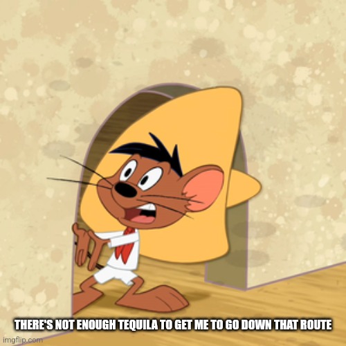 Speedy | THERE'S NOT ENOUGH TEQUILA TO GET ME TO GO DOWN THAT ROUTE | image tagged in speedy | made w/ Imgflip meme maker