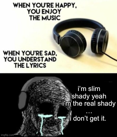 i mean really. how are you gonna understand that | i’m slim shady yeah i’m the real shady
…
i don’t get it. | image tagged in when you're sad you understand the lyrics | made w/ Imgflip meme maker