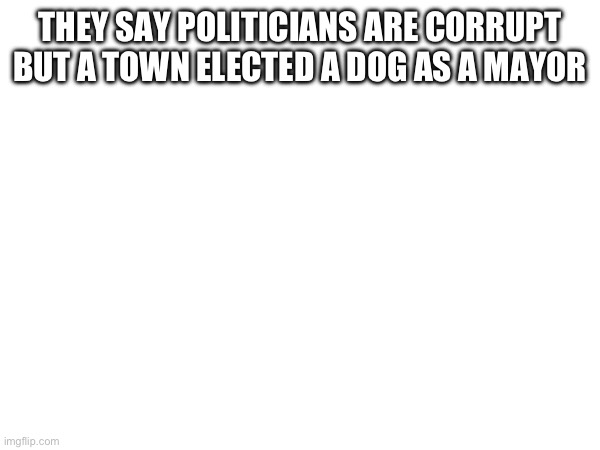 THEY SAY POLITICIANS ARE CORRUPT BUT A TOWN ELECTED A DOG AS A MAYOR | made w/ Imgflip meme maker