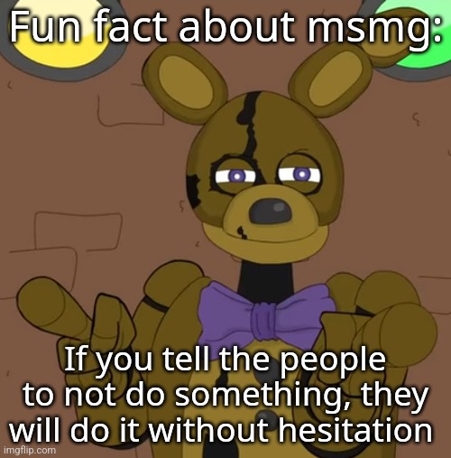 hehehehaw fack u | Fun fact about msmg:; If you tell the people to not do something, they will do it without hesitation | image tagged in hehehehaw fack u | made w/ Imgflip meme maker