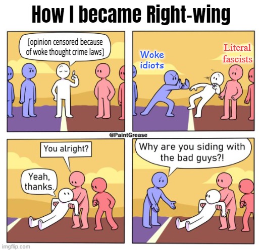 How I became Right-wing; Woke idiots; [opinion censored because of woke thought crime laws]; Literal fascists | made w/ Imgflip meme maker