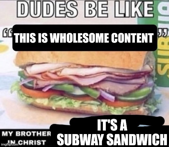 Dudes Be Like X My Brother in Christ Y | THIS IS WHOLESOME CONTENT IT'S A SUBWAY SANDWICH | image tagged in dudes be like x my brother in christ y | made w/ Imgflip meme maker