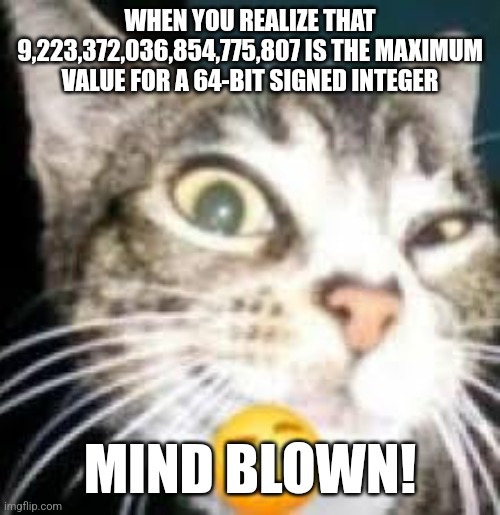 9,223,372,036,854,775,807 | WHEN YOU REALIZE THAT 9,223,372,036,854,775,807 IS THE MAXIMUM VALUE FOR A 64-BIT SIGNED INTEGER; MIND BLOWN! | image tagged in cat eyebrow | made w/ Imgflip meme maker