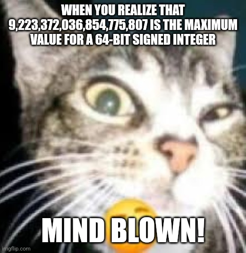 Cat Eyebrow | WHEN YOU REALIZE THAT 9,223,372,036,854,775,807 IS THE MAXIMUM VALUE FOR A 64-BIT SIGNED INTEGER; MIND BLOWN! | image tagged in cat eyebrow | made w/ Imgflip meme maker