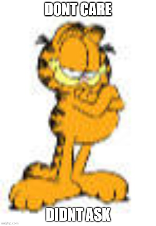 DIDNT ASK Garfield | DONT CARE; DIDNT ASK | image tagged in meme,garfield | made w/ Imgflip meme maker