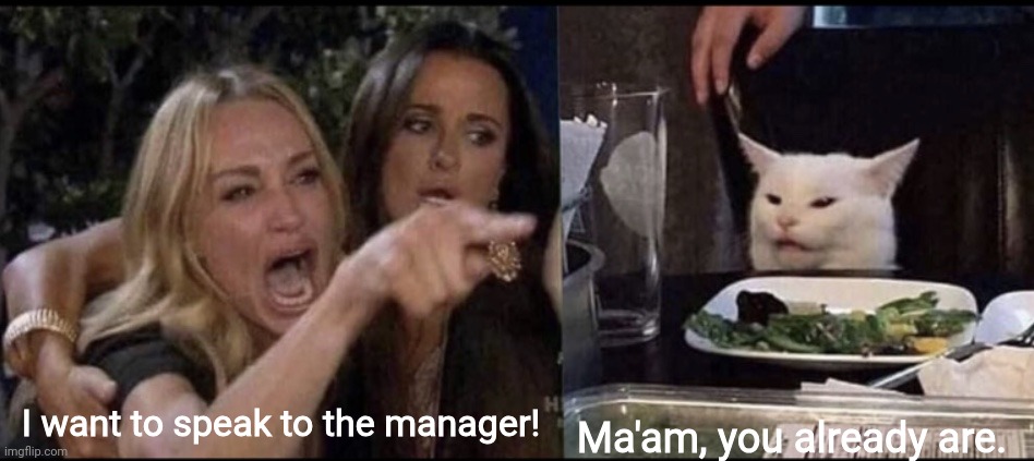 Didn't see that coming. | Ma'am, you already are. I want to speak to the manager! | image tagged in smudge the cat wisdom,a surprise to be sure,animals to humans,karen | made w/ Imgflip meme maker