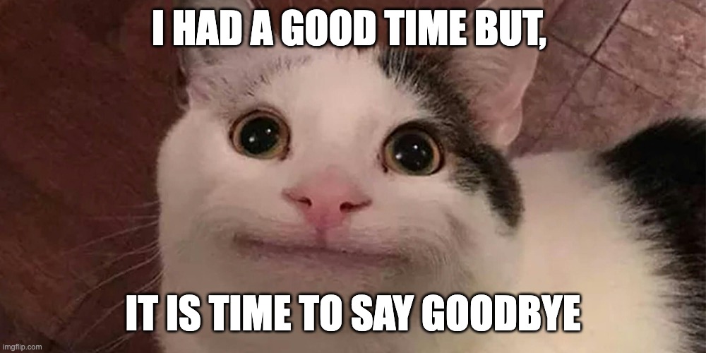 goodbye cat | I HAD A GOOD TIME BUT, IT IS TIME TO SAY GOODBYE | image tagged in cat | made w/ Imgflip meme maker