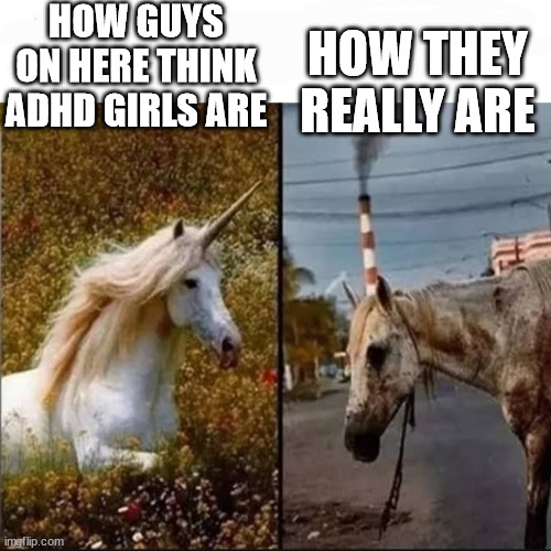 real | HOW GUYS ON HERE THINK ADHD GIRLS ARE; HOW THEY REALLY ARE | image tagged in unicorn vs dirty horse | made w/ Imgflip meme maker