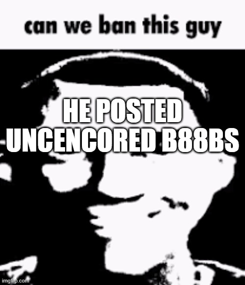 Can we ban this guy | HE POSTED UNCENCORED B88BS | image tagged in can we ban this guy | made w/ Imgflip meme maker