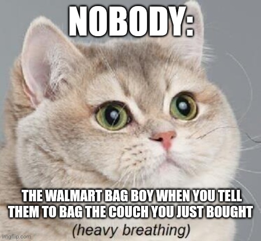 Bag that couch! | NOBODY:; THE WALMART BAG BOY WHEN YOU TELL THEM TO BAG THE COUCH YOU JUST BOUGHT | image tagged in memes,heavy breathing cat,walmart,shopping,unrealistic expectations,jpfan102504 | made w/ Imgflip meme maker