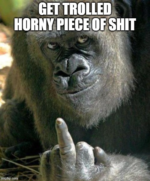 gorilla middle finger | GET TROLLED HORNY PIECE OF SHIT | image tagged in gorilla middle finger | made w/ Imgflip meme maker