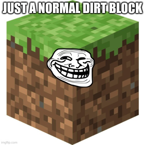normal dirt block | JUST A NORMAL DIRT BLOCK | image tagged in minecraft block | made w/ Imgflip meme maker