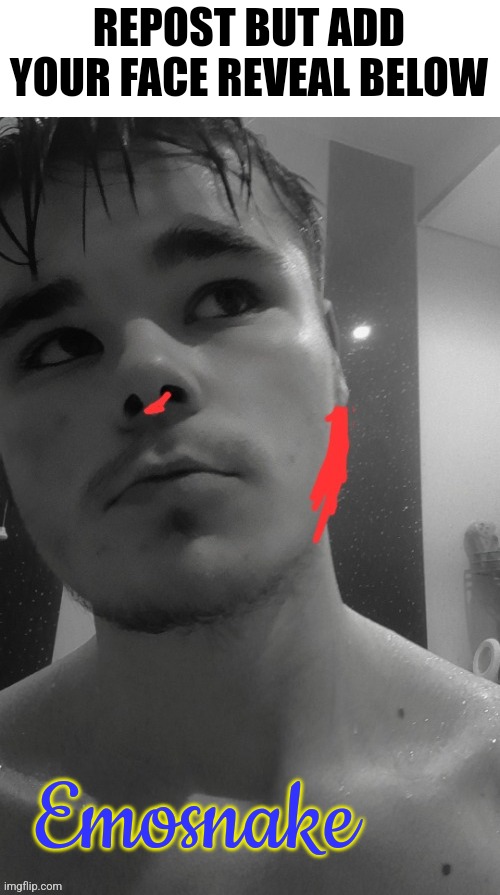 REPOST BUT ADD YOUR FACE REVEAL BELOW; Emosnake | made w/ Imgflip meme maker