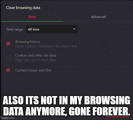 ALSO ITS NOT IN MY BROWSING DATA ANYMORE, GONE FOREVER. | made w/ Imgflip meme maker