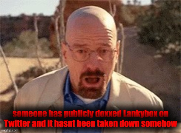 Walter White | someone has publicly doxxed Lankybox on Twitter and it hasnt been taken down somehow | image tagged in walter white | made w/ Imgflip meme maker