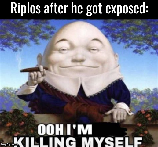 Ooh I'm killing myself | Riplos after he got exposed: | image tagged in ooh i'm killing myself | made w/ Imgflip meme maker