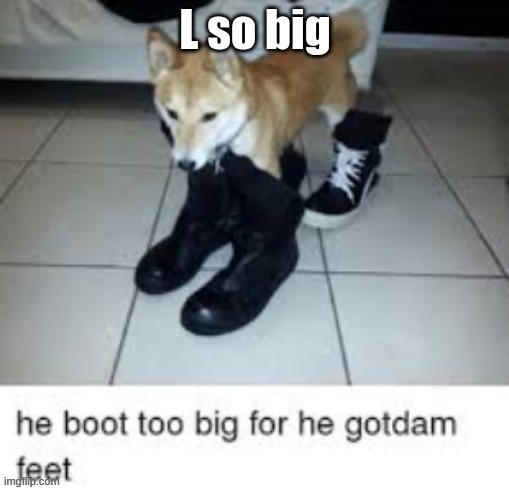 L so big boot too big | image tagged in l so big boot too big | made w/ Imgflip meme maker