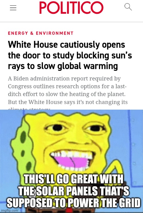 And then we'll build glass domes over the wind farms to protect the birds and... | THIS'LL GO GREAT WITH THE SOLAR PANELS THAT'S SUPPOSED TO POWER THE GRID | image tagged in spongebob money | made w/ Imgflip meme maker