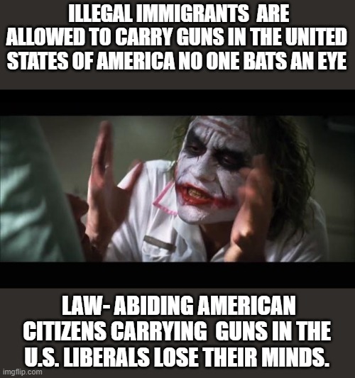 Obama-Appointed judge rules Illegal immigrants can Carry guns in the U.S. | ILLEGAL IMMIGRANTS  ARE ALLOWED TO CARRY GUNS IN THE UNITED STATES OF AMERICA NO ONE BATS AN EYE; LAW- ABIDING AMERICAN CITIZENS CARRYING  GUNS IN THE U.S. LIBERALS LOSE THEIR MINDS. | image tagged in memes,and everybody loses their minds,illegals,guns,second amendment,democrats | made w/ Imgflip meme maker