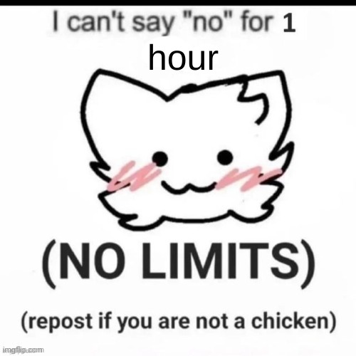 fuck it | hour | image tagged in i can t say no | made w/ Imgflip meme maker