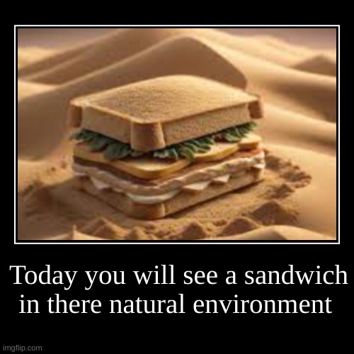Today you will see a sandwich in there natural environment | | image tagged in funny,demotivationals | made w/ Imgflip demotivational maker