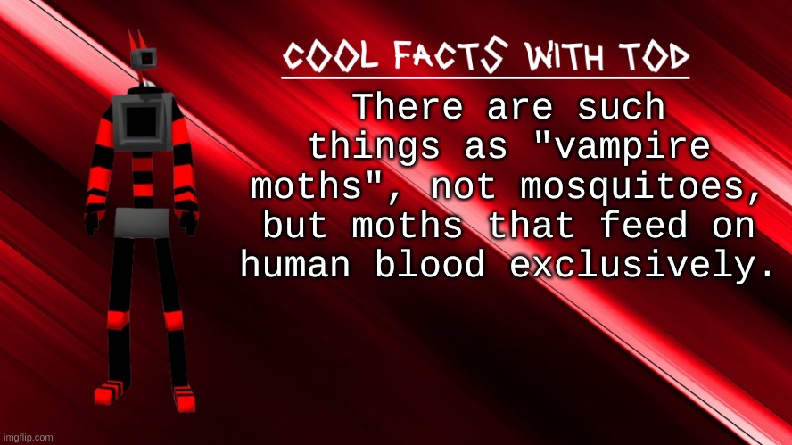 we do not speak of what kind of moth scott is | There are such things as "vampire moths", not mosquitoes, but moths that feed on human blood exclusively. | image tagged in cool facts with tod | made w/ Imgflip meme maker
