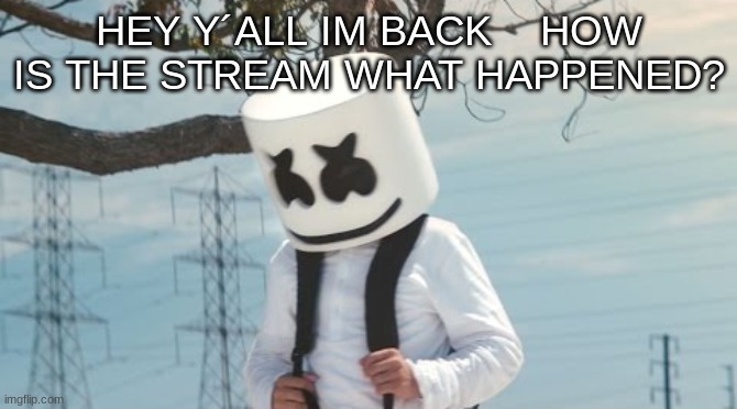 HEY Y´ALL IM BACK    HOW IS THE STREAM WHAT HAPPENED? | image tagged in m | made w/ Imgflip meme maker
