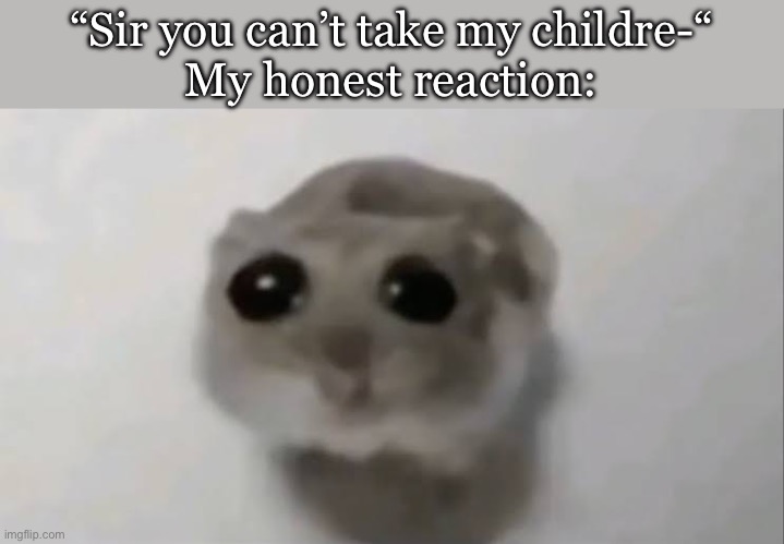 Sad Hamster | “Sir you can’t take my childre-“
My honest reaction: | image tagged in sad hamster | made w/ Imgflip meme maker