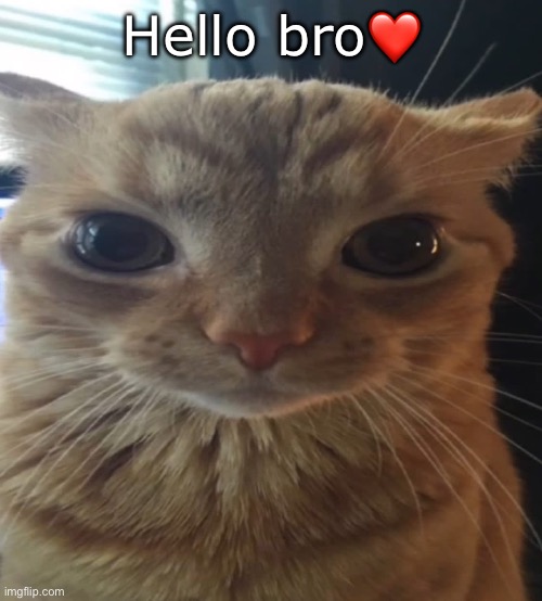 Hello bro❤️ | made w/ Imgflip meme maker