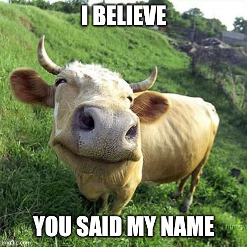 Cow | I BELIEVE YOU SAID MY NAME | image tagged in cow | made w/ Imgflip meme maker