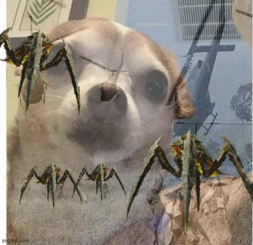 Playing on Helldive | image tagged in ptsd chihuahua | made w/ Imgflip meme maker