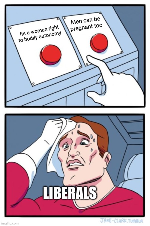Two Buttons Meme | Men can be pregnant too; Its a woman right to bodily autonomy; LIBERALS | image tagged in memes,two buttons | made w/ Imgflip meme maker