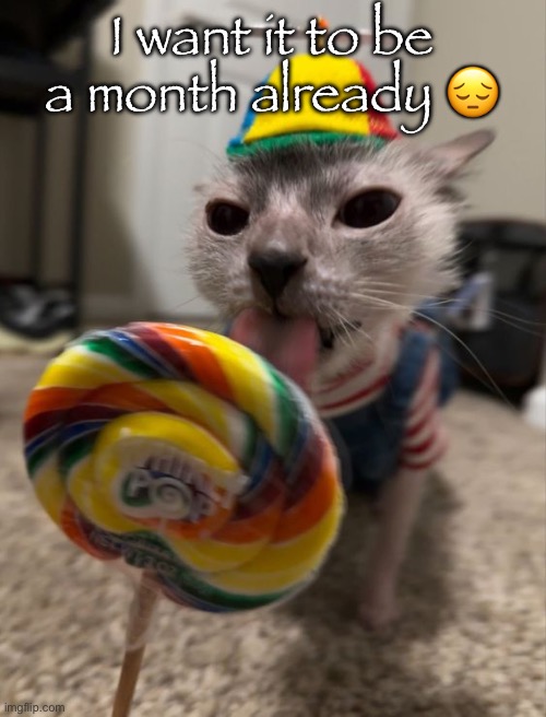 silly goober | I want it to be a month already 😔 | image tagged in silly goober | made w/ Imgflip meme maker