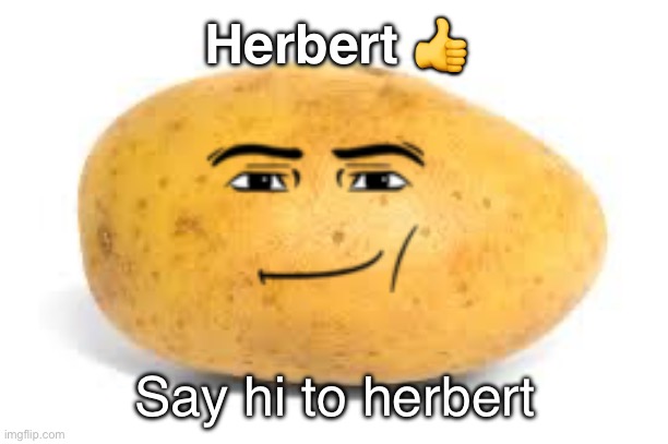 Potato | Herbert 👍; Say hi to herbert | image tagged in potato,surreal angery,roblox,rape,drake,goofy ahh | made w/ Imgflip meme maker