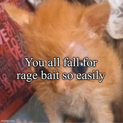 skrunkly | You all fall for rage bait so easily | image tagged in skrunkly | made w/ Imgflip meme maker