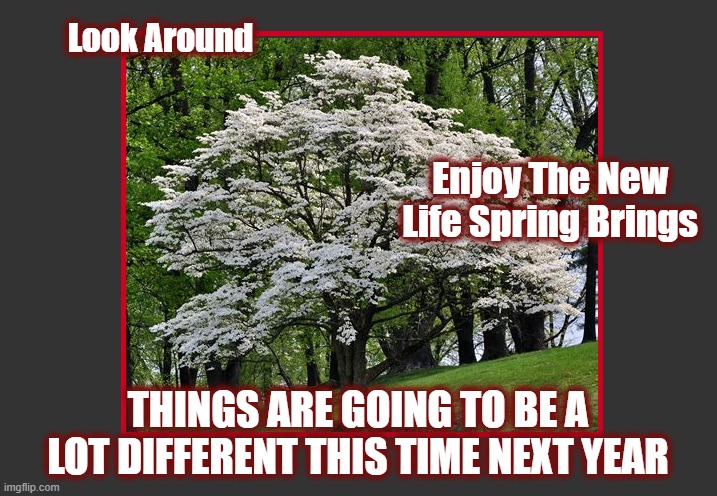 The Revolution Will Not Be Televised | Look Around; Enjoy The New Life Spring Brings; THINGS ARE GOING TO BE A LOT DIFFERENT THIS TIME NEXT YEAR | image tagged in politics 2024,american politics,the silent war,maga,the great awakening,jadscomms | made w/ Imgflip meme maker