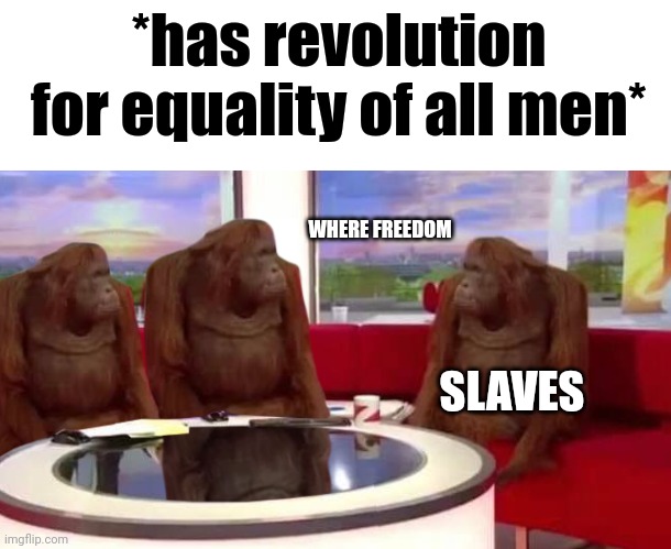 wher feedum | *has revolution for equality of all men*; WHERE FREEDOM; SLAVES | image tagged in where monkey | made w/ Imgflip meme maker