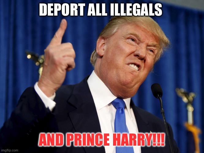 Deportation | DEPORT ALL ILLEGALS; AND PRINCE HARRY!!! | image tagged in this is why i deport people,politics,political meme,illegal immigration,donald trump | made w/ Imgflip meme maker