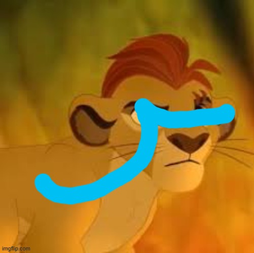 Kion crybaby | image tagged in kion crybaby | made w/ Imgflip meme maker
