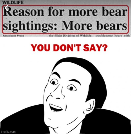 Bears cause bear sightings?!!? | image tagged in memes,you don't say,bears | made w/ Imgflip meme maker