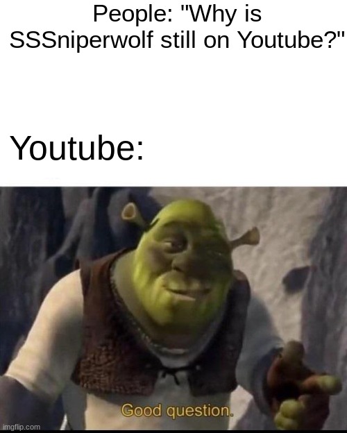 Youtube: "That's a good question." | People: "Why is SSSniperwolf still on Youtube?"; Youtube: | image tagged in shrek | made w/ Imgflip meme maker