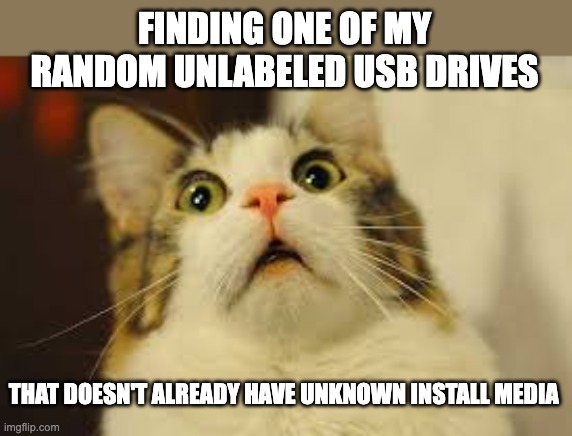 Most of my USB drives have long forgotten bootable media but I'm too afraid to erase them | FINDING ONE OF MY RANDOM UNLABELED USB DRIVES; THAT DOESN'T ALREADY HAVE UNKNOWN INSTALL MEDIA | image tagged in surpised cat,usb,drive,media,install,what | made w/ Imgflip meme maker