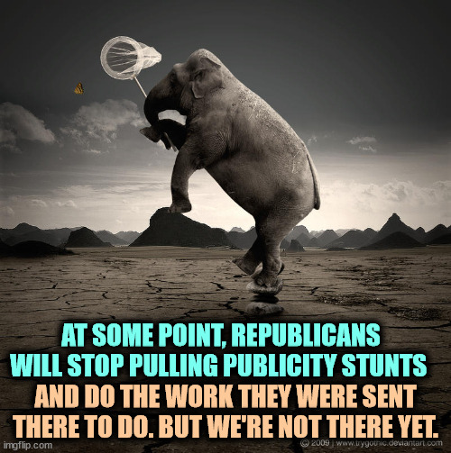 Politics is not just performing for the cameras, you're supposed to pass legislation, too. | AT SOME POINT, REPUBLICANS WILL STOP PULLING PUBLICITY STUNTS; AND DO THE WORK THEY WERE SENT THERE TO DO. BUT WE'RE NOT THERE YET. | image tagged in republican elephant crazy chasing butterflies,republicans,silly,theatre,circus,stunts | made w/ Imgflip meme maker